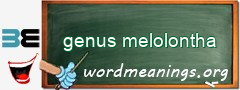 WordMeaning blackboard for genus melolontha